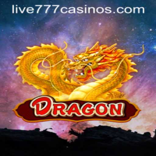Discovering Dragon: A Captivating Journey with Live 777